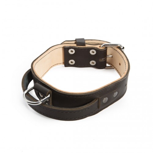 Double Leather collar harly 45mm x 660 mm (brass)